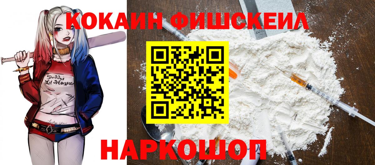 Вологда  COCAIN FishScale  цены наркотик  Cocaine FishScale  Вход с VPN 