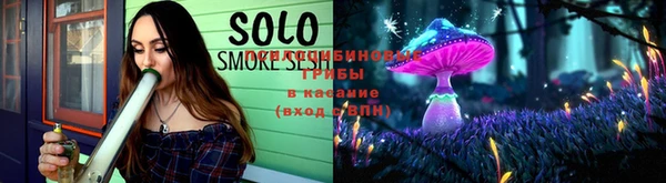 тгк Алзамай