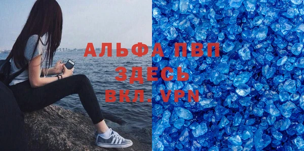 крисы Алексин