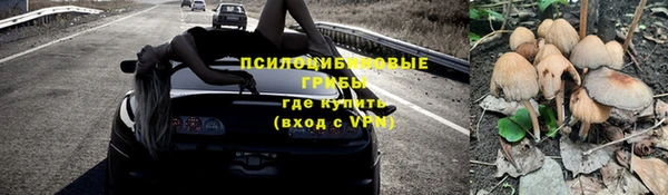 крисы Алексин