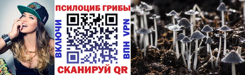 shop какой сайт  купить   Вологда  Галлюциногенные грибы MAGIC MUSHROOMS 