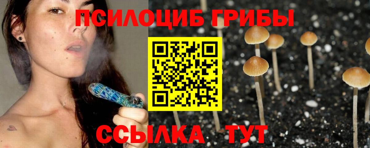 Вологда  Галлюциногенные грибы Psilocybine cubensis  Вход с VPN 