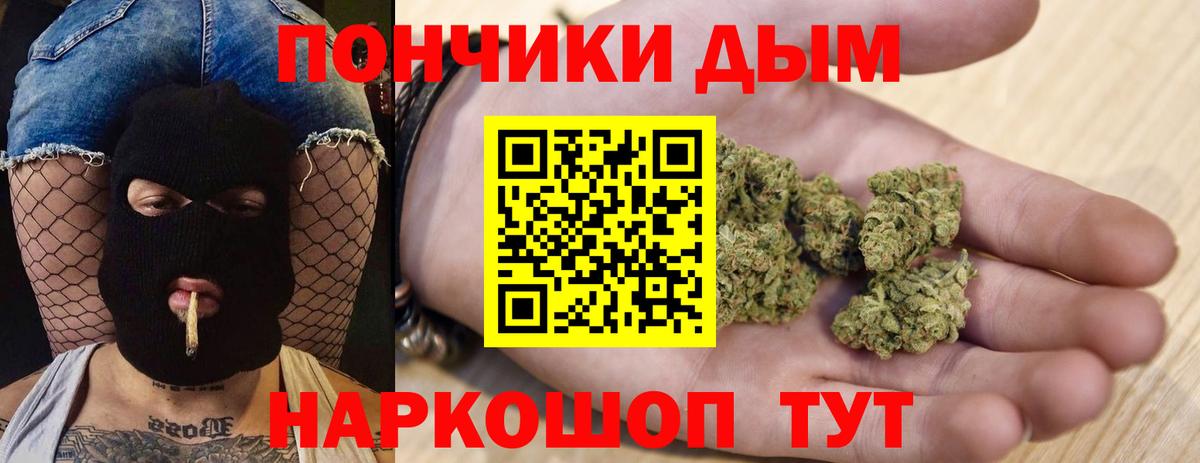 Шишки марихуана конопля Вологда